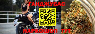 стафф Шелехов