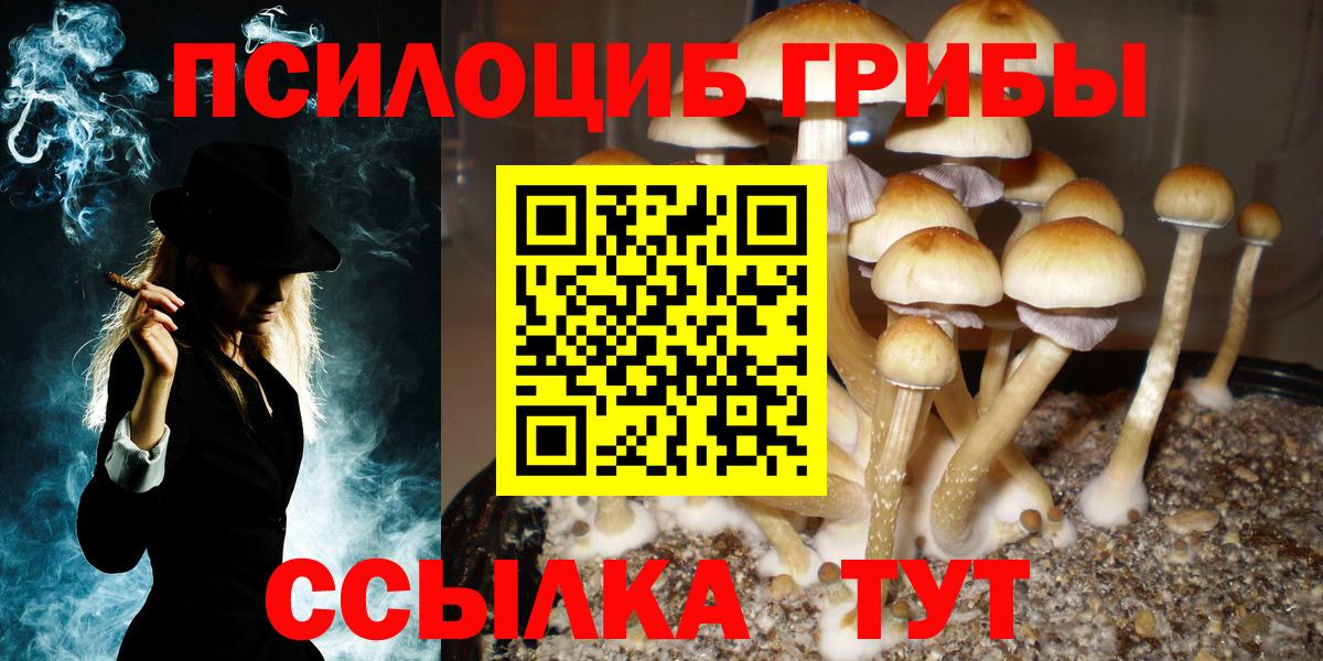 Галлюциногенные грибы Cubensis Алексеевка