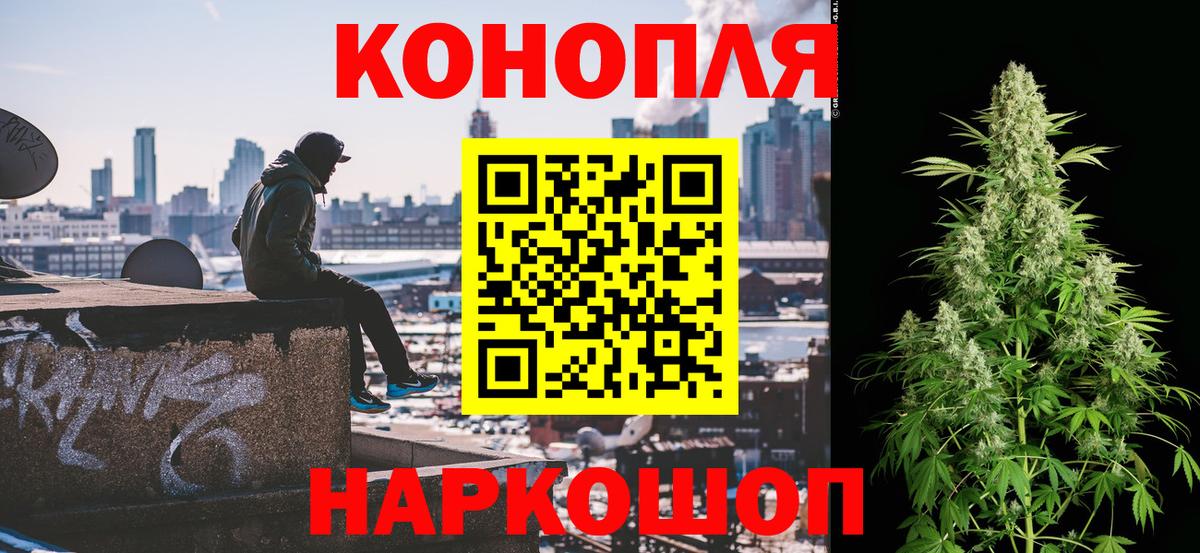 Шишки марихуана OG Kush Алексеевка